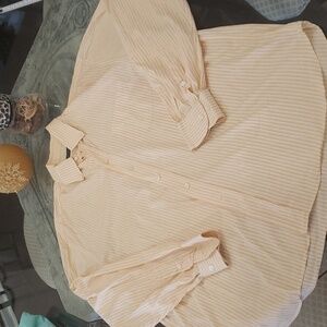 CANALI MEN'S LIGHT COTTON BLEND STRIPPED COLLARED DRESS SHIRT XL